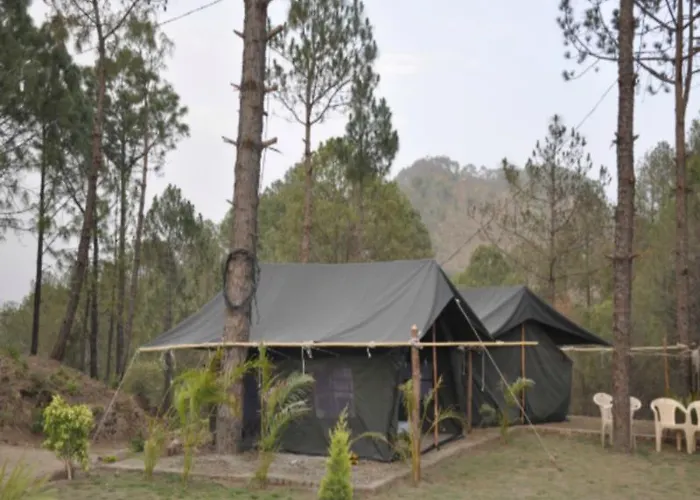 Nestling Meadows Camping Site