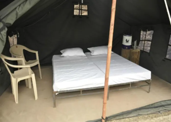 Nestling Meadows Camping Site
